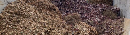 Wheat Ridge Yard Waste Drop-off 2025