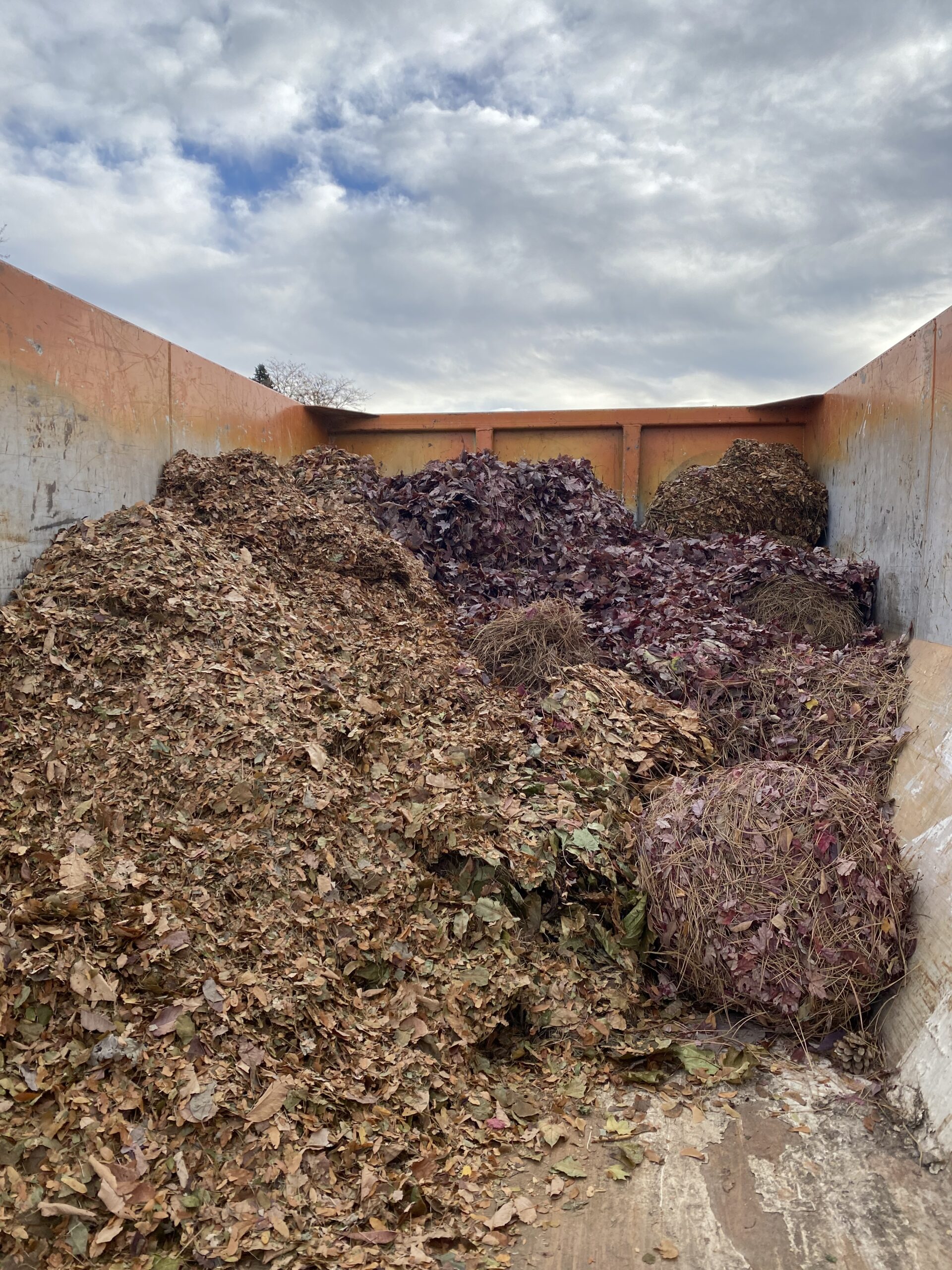 Wheat Ridge Yard Waste Drop-off 2025
