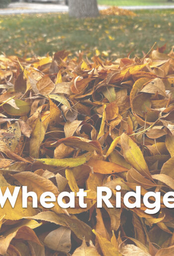 Wheat Ridge